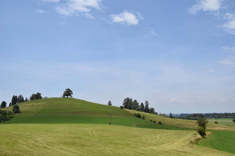 19-07-19_HK-LI-KN_0135_Ga2_5489