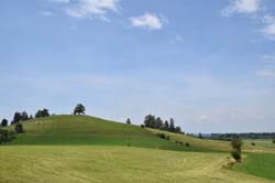 19-07-19_HK-LI-KN_0135_Ga2_5489