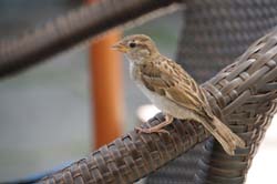 19-07-19_HK-LI-KN_0202_LeS_00393