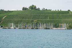 19-07-19_HK-LI-KN_0476_LeS_00511